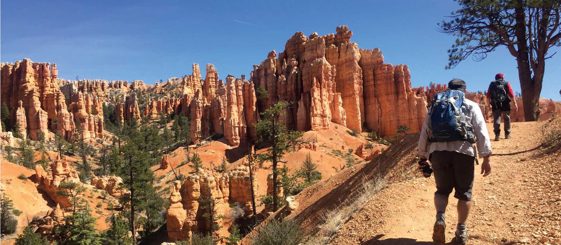 Dusty landscape as we hike through Bryce Canyon | Jake Hutchins