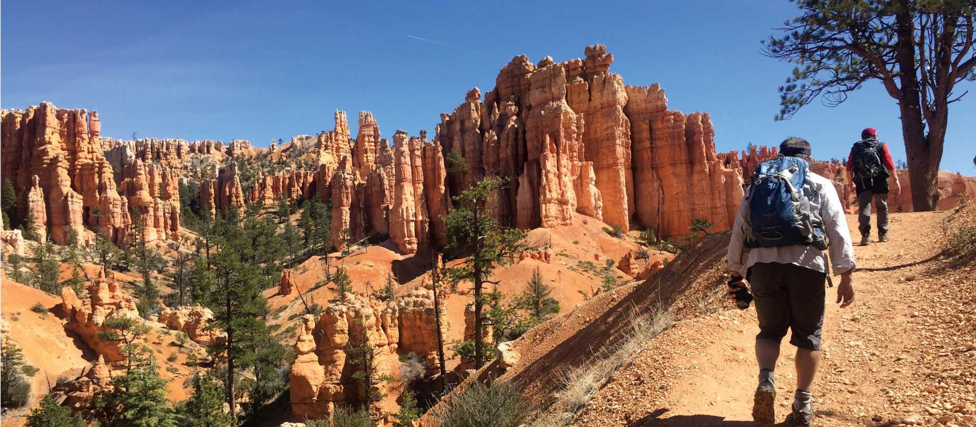 Dusty landscape as we hike through Bryce Canyon | Jake Hutchins