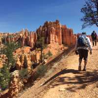 Dusty landscape as we hike through Bryce Canyon | Jake Hutchins