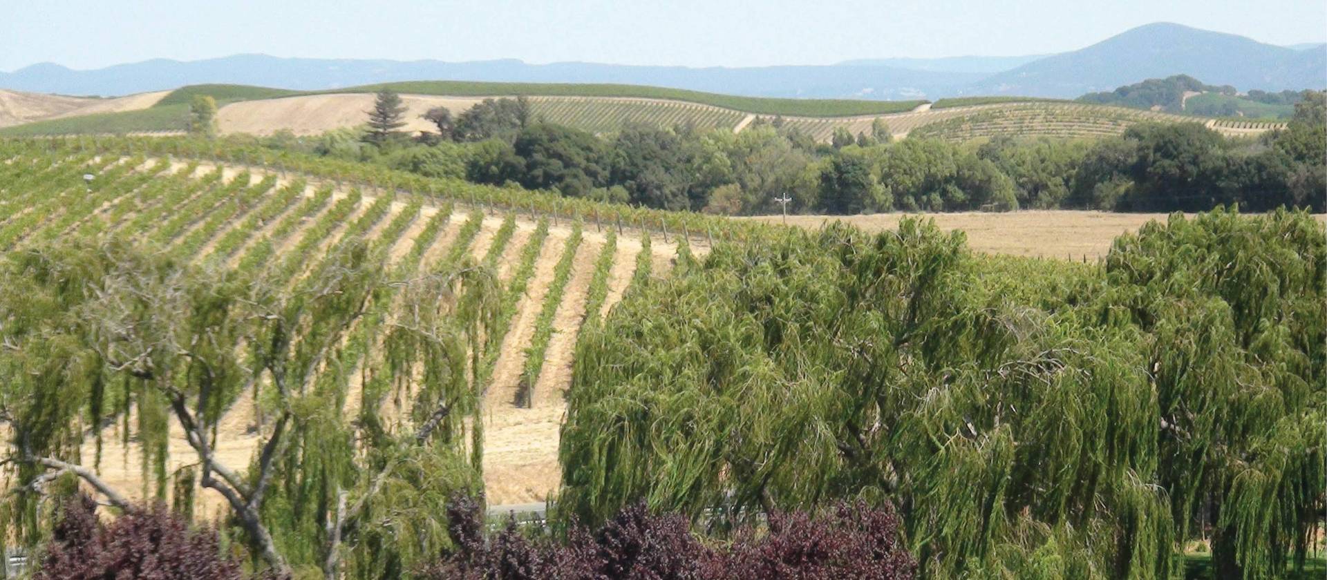 Enjoy a wine tasting on your self-guided Napa and Sonoma hiking tour. | Keri May