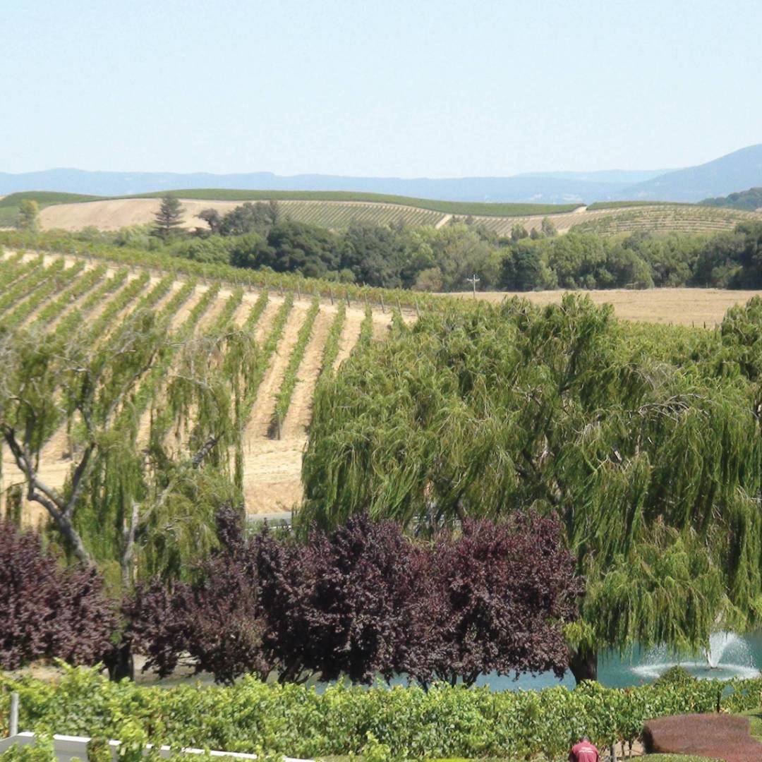 Enjoy a wine tasting on your self-guided Napa and Sonoma hiking tour. | Keri May