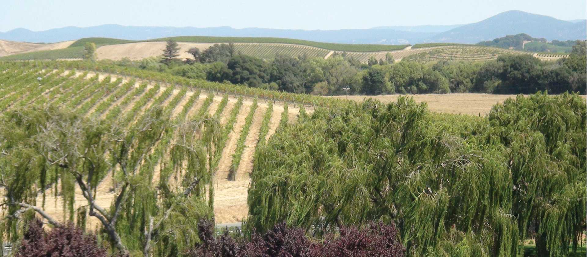 Enjoy a wine tasting on your self-guided Napa and Sonoma hiking tour. | Keri May