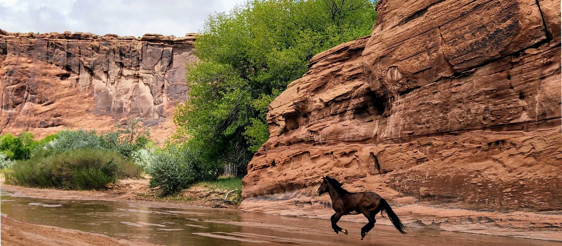 Canyon de Chelly’s wild spirit in motion