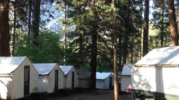 Curry Village tent cabins at Yosemite National Park, USA | Nathaniel Wynne