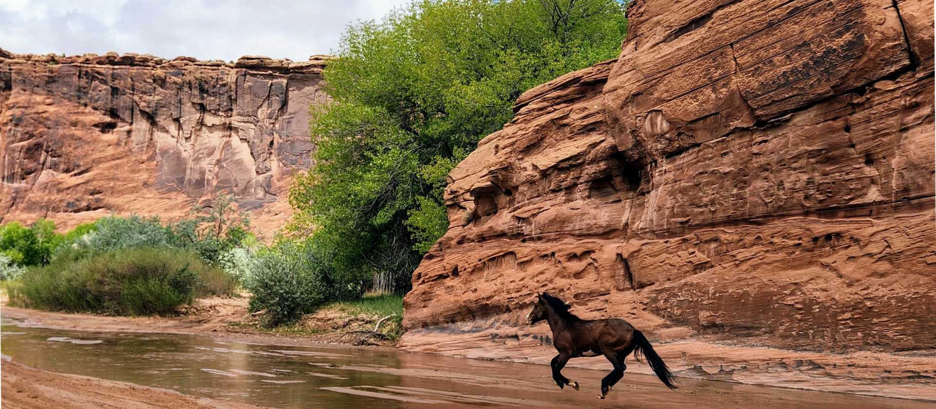 Canyon de Chelly’s wild spirit in motion