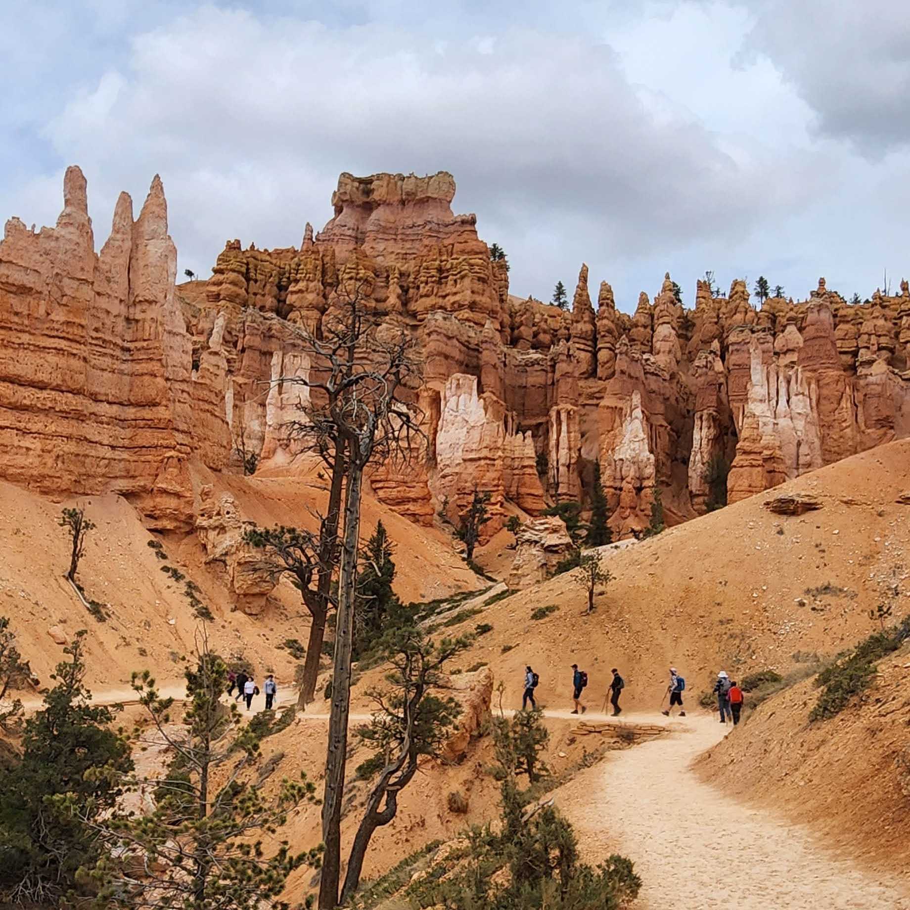 Freeze-thaw cycles, wind and time all contributed to carving these hoodoos