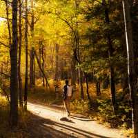 Hiking in the forests of Colorado's Rocky Mountains | ©VisittheUSA.com