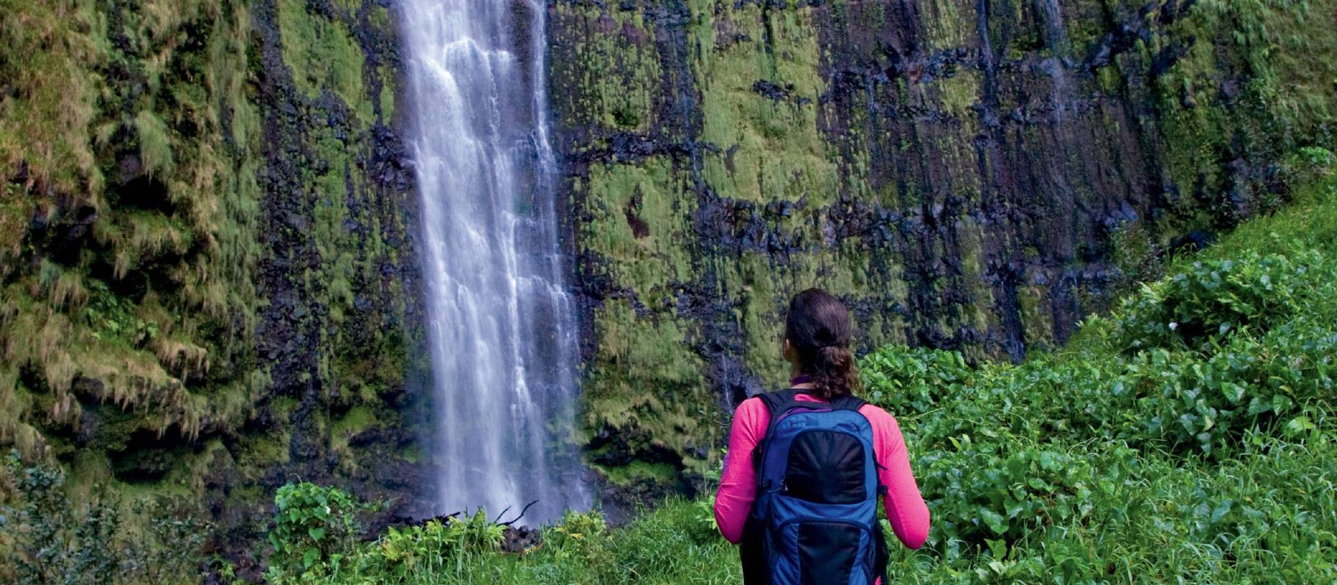 Lush hiking trails abound on Maui