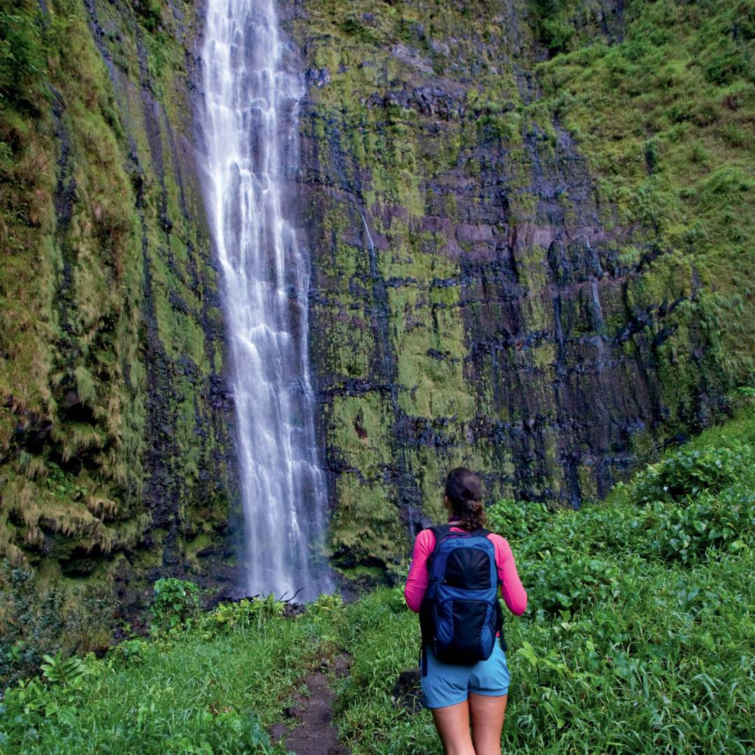 Lush hiking trails abound on Maui