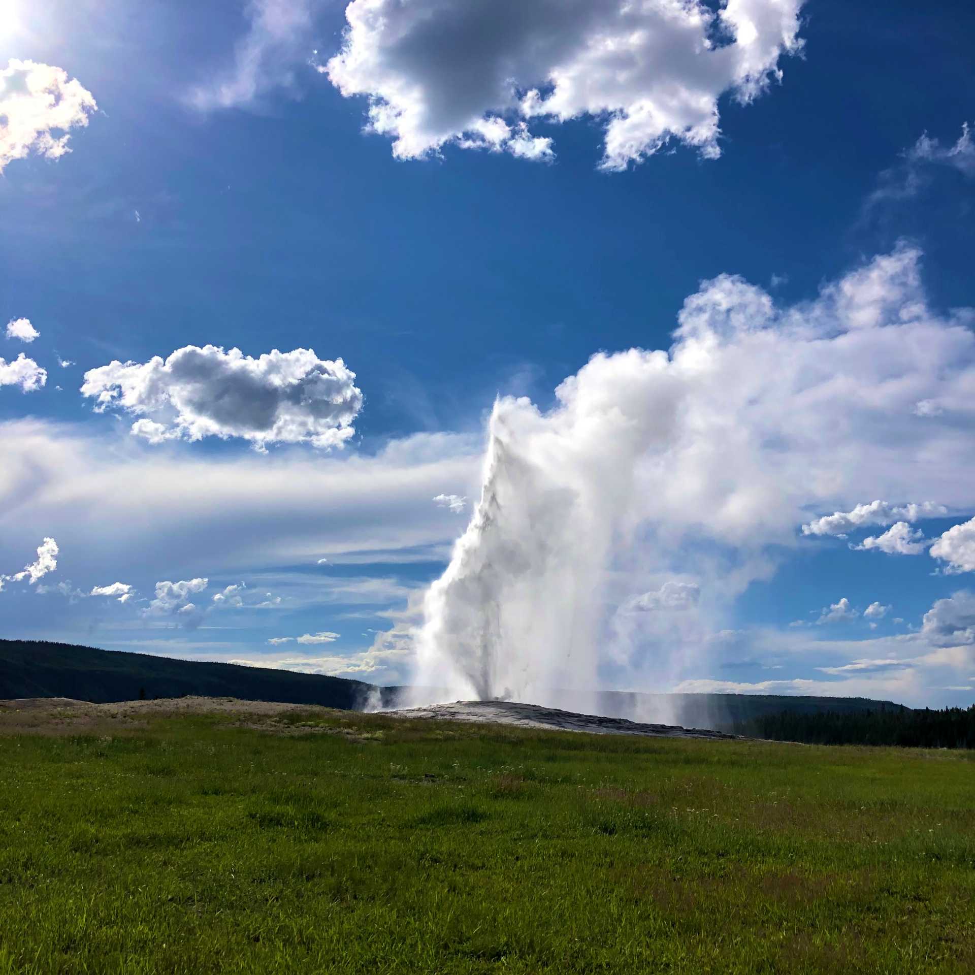 Old Faithful in Yellowstone