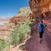 Perfect weather for hiking into the Grand Canyon