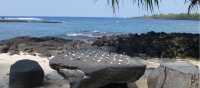 Puuhonua 0 Honaunau national park region, Hawaii | Caroline Mongrain