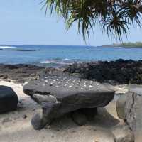 Puuhonua 0 Honaunau national park region, Hawaii | Caroline Mongrain