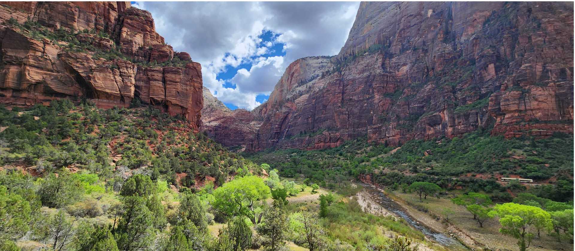 The Virgin River carving its way through the heart of Zion