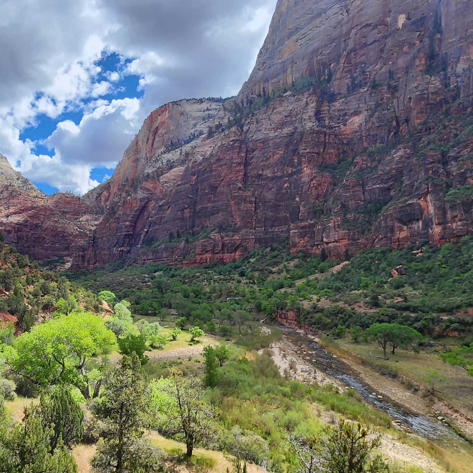 The Virgin River carving its way through the heart of Zion
