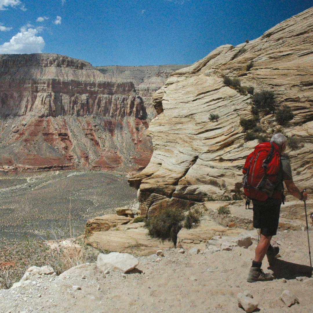 Grand Canyon National Park | Sue Badyari