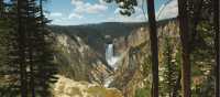 Yellowstone National Park | Sue Badyari