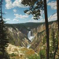 Yellowstone National Park | Sue Badyari