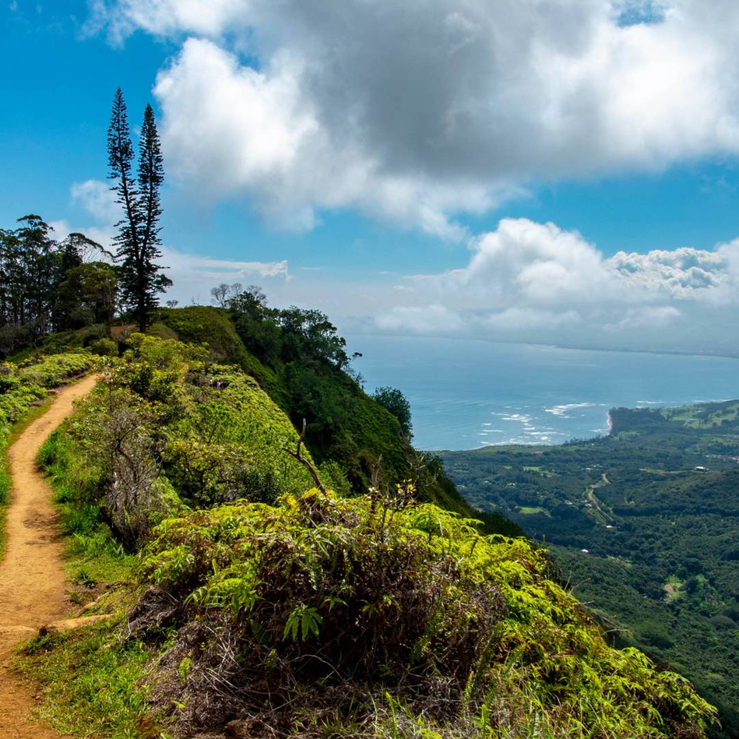 Hike the Waihe'e Ridge Trail in Maui, Hawaii