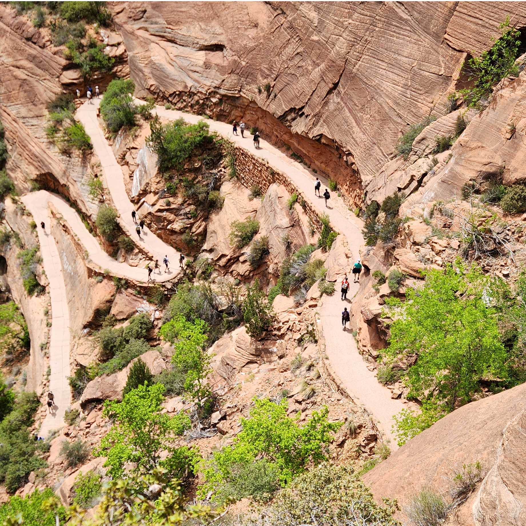 Walter's Wiggles, Zion National Park