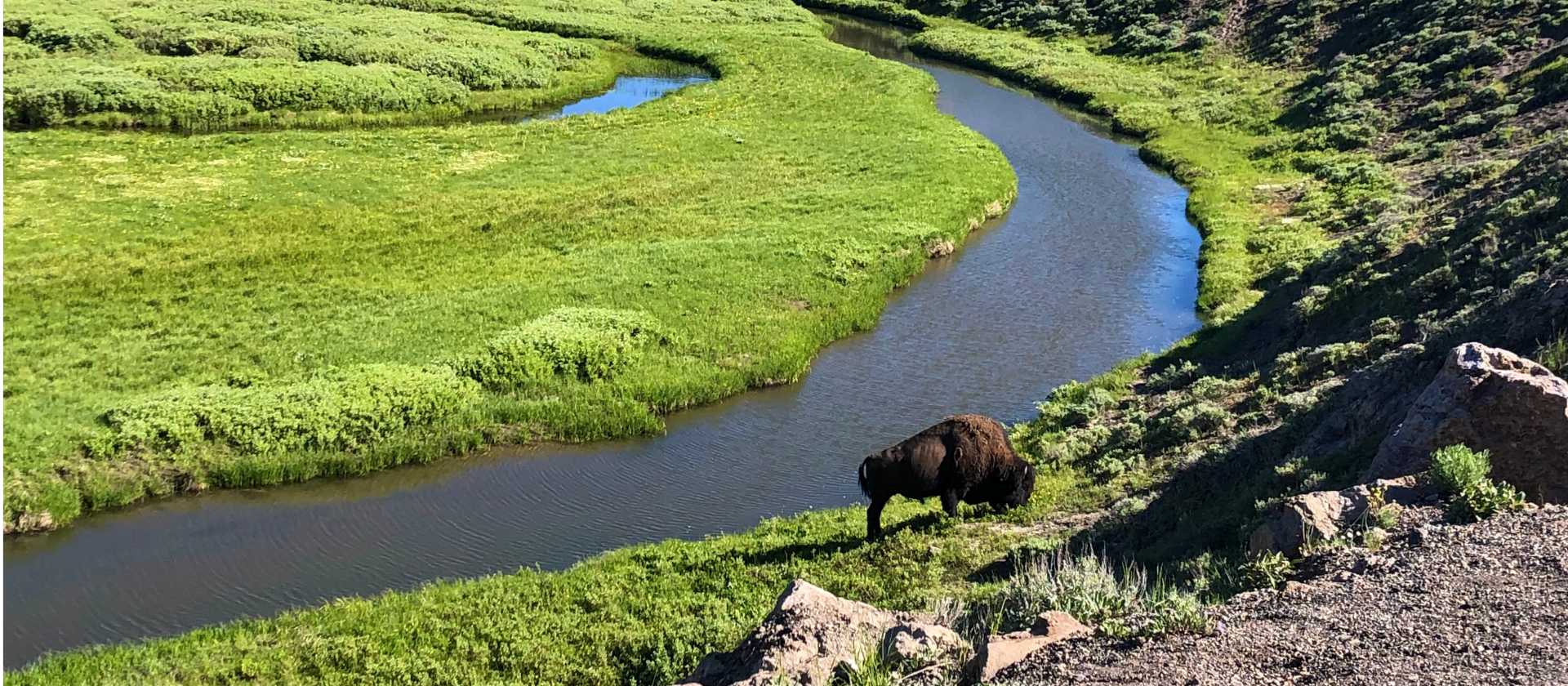 Yellowstone