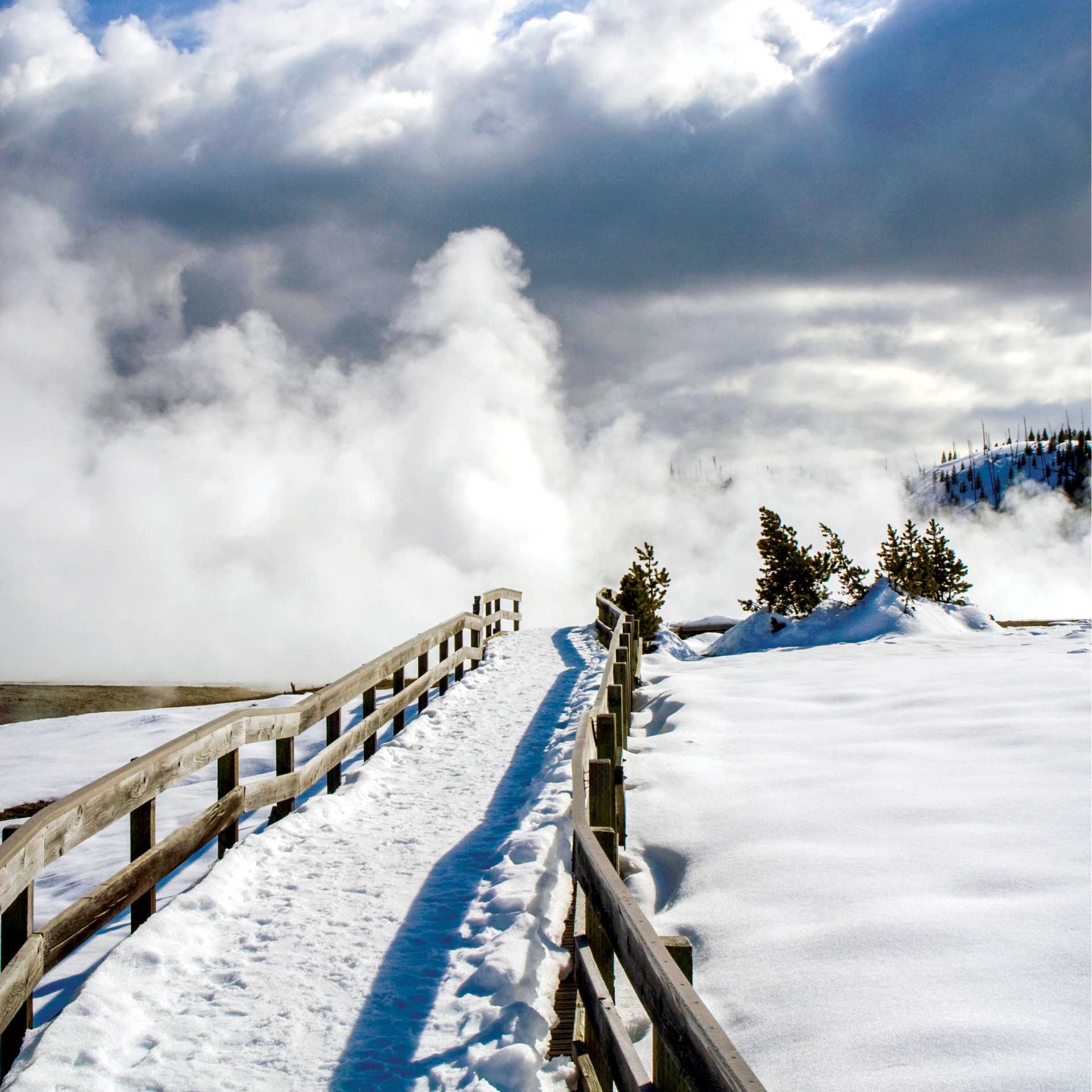 Blue skies overhead as we explore the beauty of Yellowstone National Park