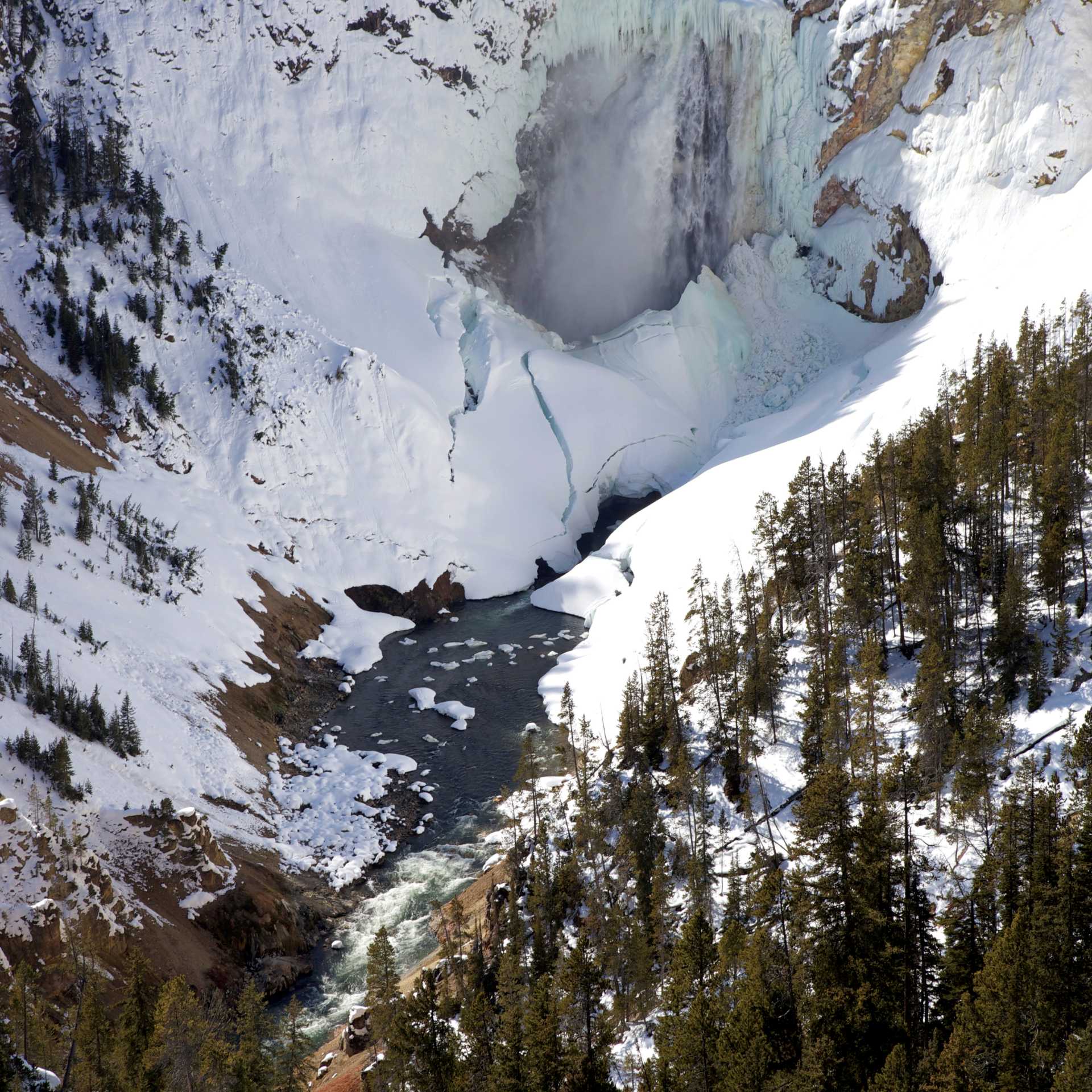 Yellowstone National Park is stunning during the winter months