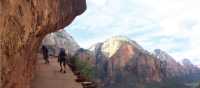 Trail carved into the side of cliff face in Zion National Park | Jake Hutchins