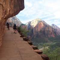 Trail carved into the side of cliff face in Zion National Park | Jake Hutchins